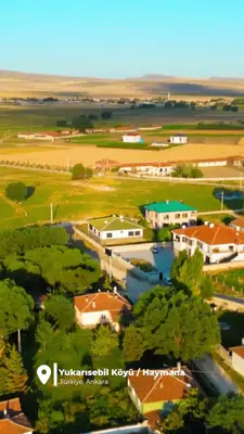 Yeşil çatılı evler